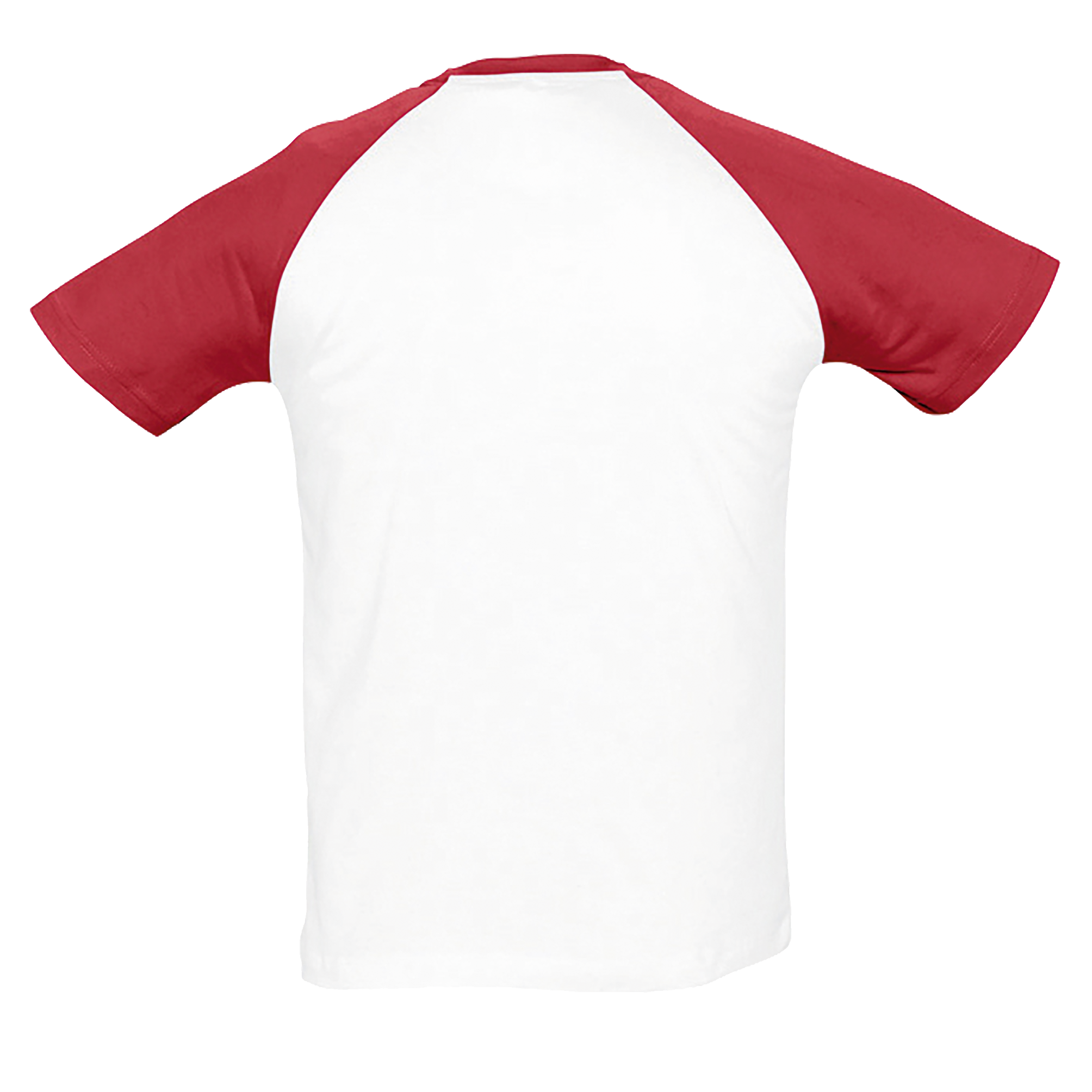 images/stories/virtuemart/sols20/1929_teeshirt_homme_bicolore_manches_raglan_funky_blackgrey_melange_dos