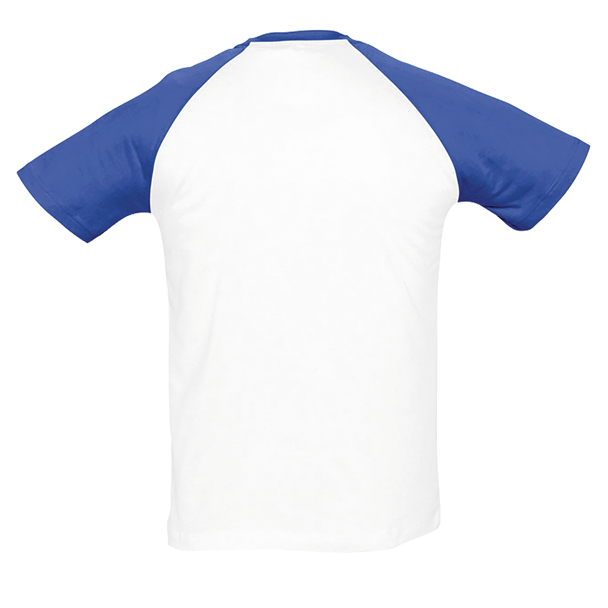 images/stories/virtuemart/sols20/1934_teeshirt_homme_bicolore_manches_raglan_funky_blackgrey_melange_dos