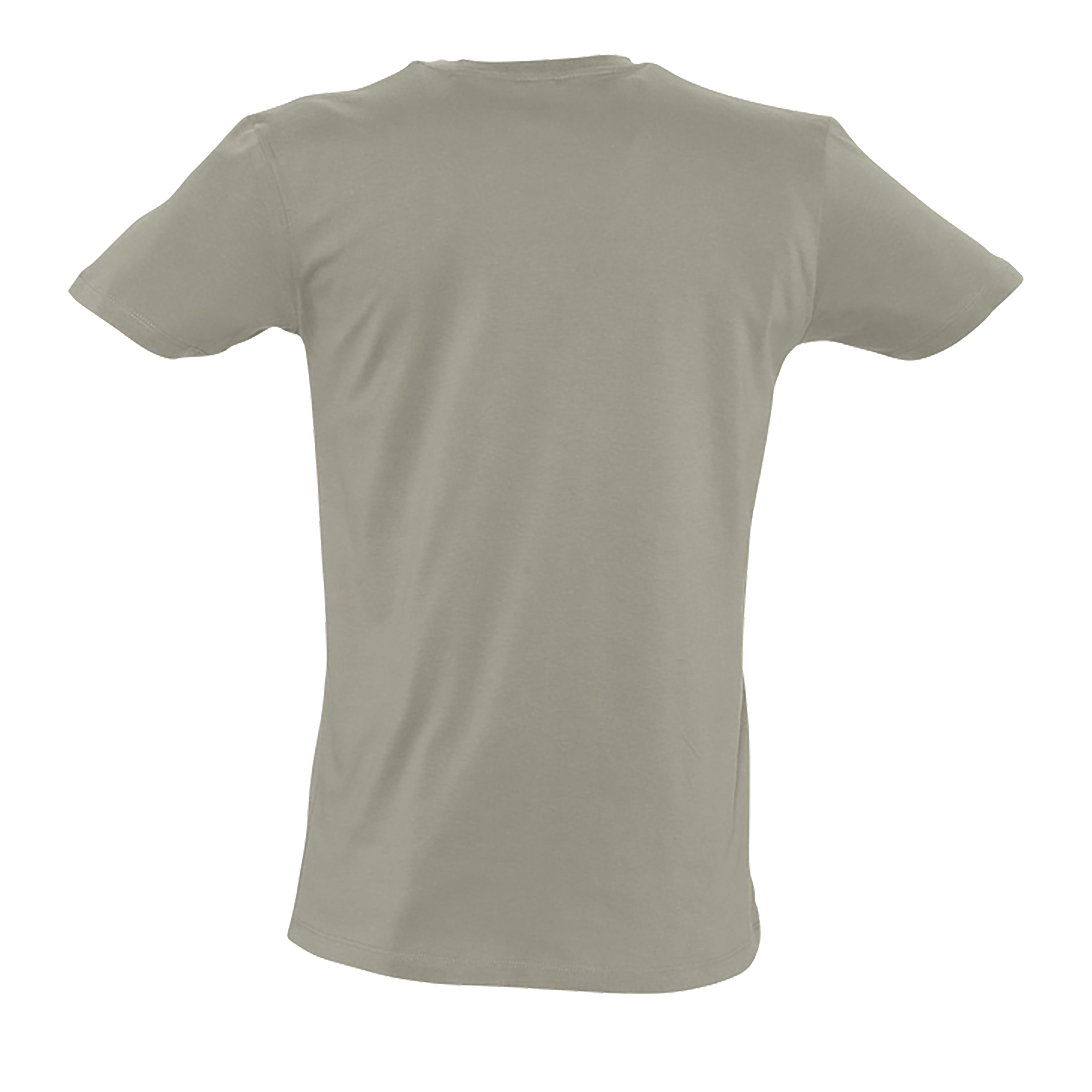 images/stories/virtuemart/sols20/4579_teeshirt_homme_col_v_profond_master_coral_dos