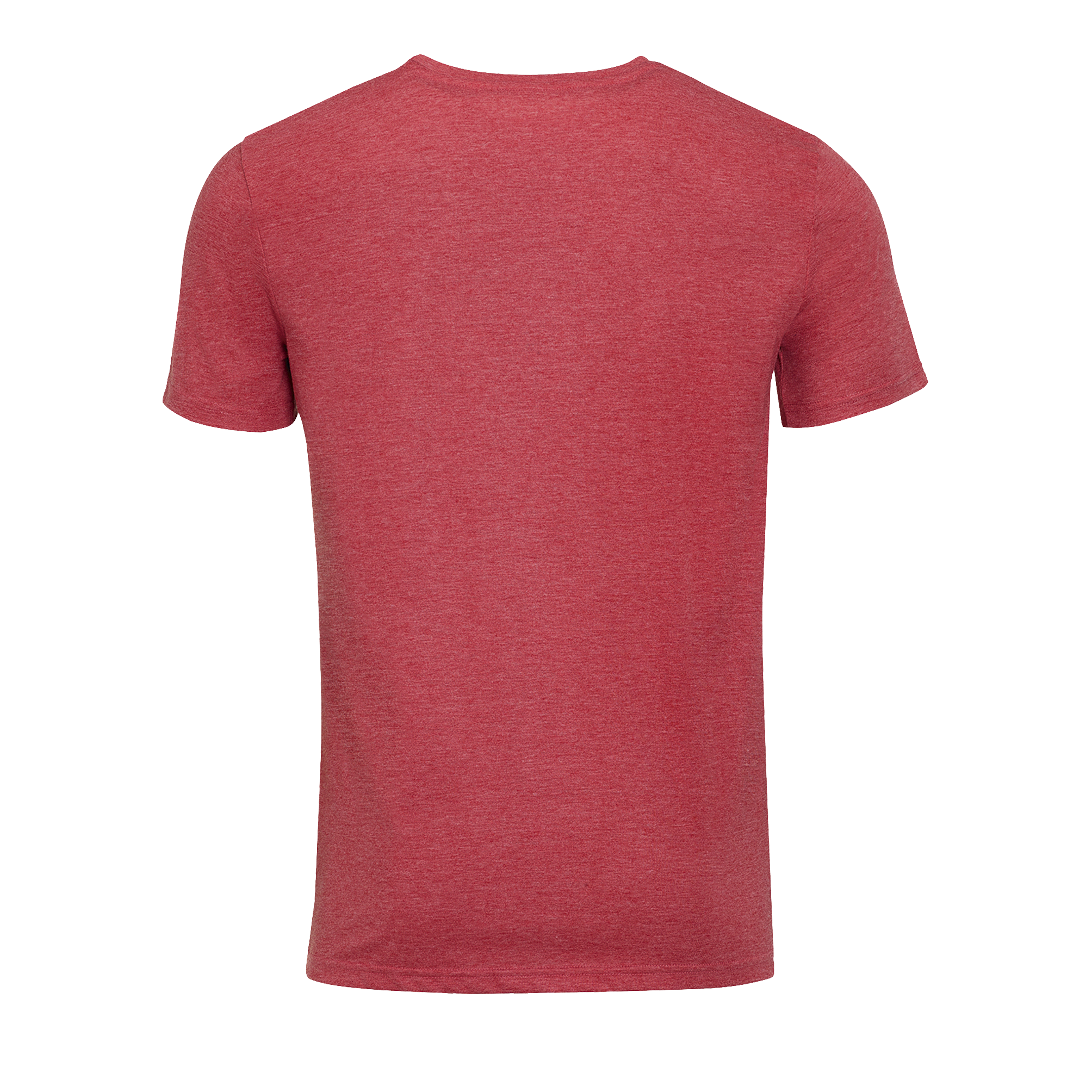 images/stories/virtuemart/sols20/5400_teeshirt_homme_col_rond_mixed_men_charcoal_melange_dos