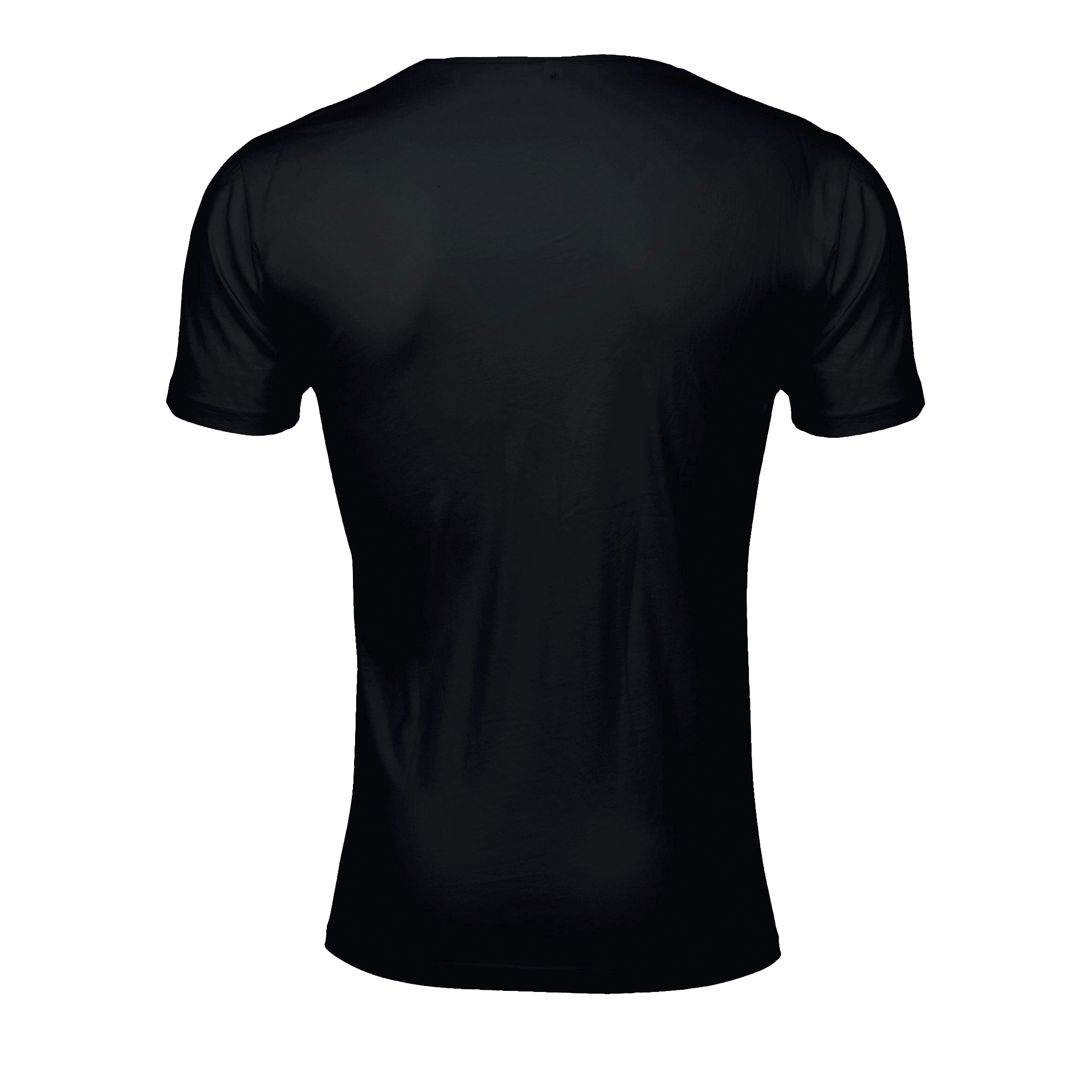 images/stories/virtuemart/sols20/5852_teeshirt_homme_col_rond_en_jersey_fin_must_men_deep_black_dos