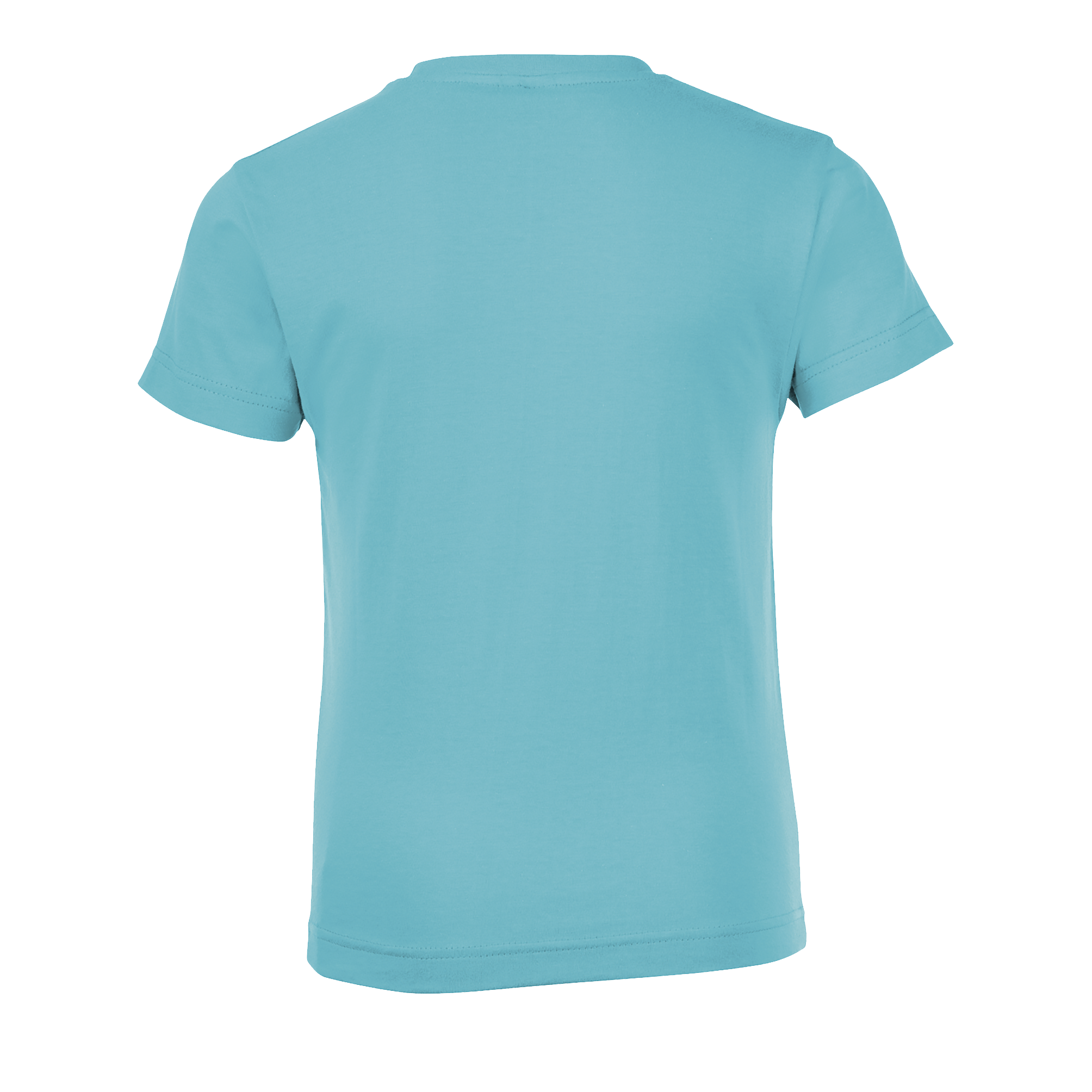 images/stories/virtuemart/sols20/9213_teeshirt_enfant_col_rond_regent_fit_kids_apple_green_dos