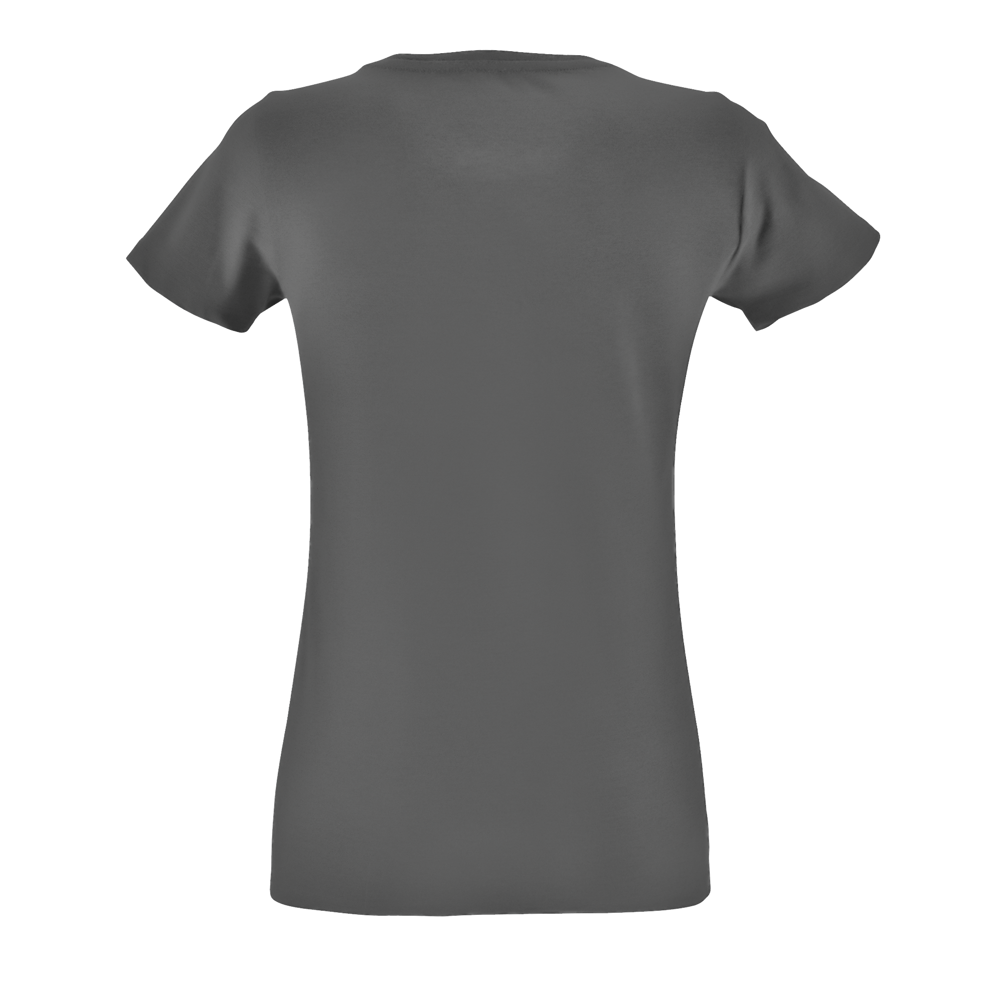 images/stories/virtuemart/sols20/9326_teeshirt_femme_col_rond_ajuste_regent_fit_women_charcoal_melange_dos