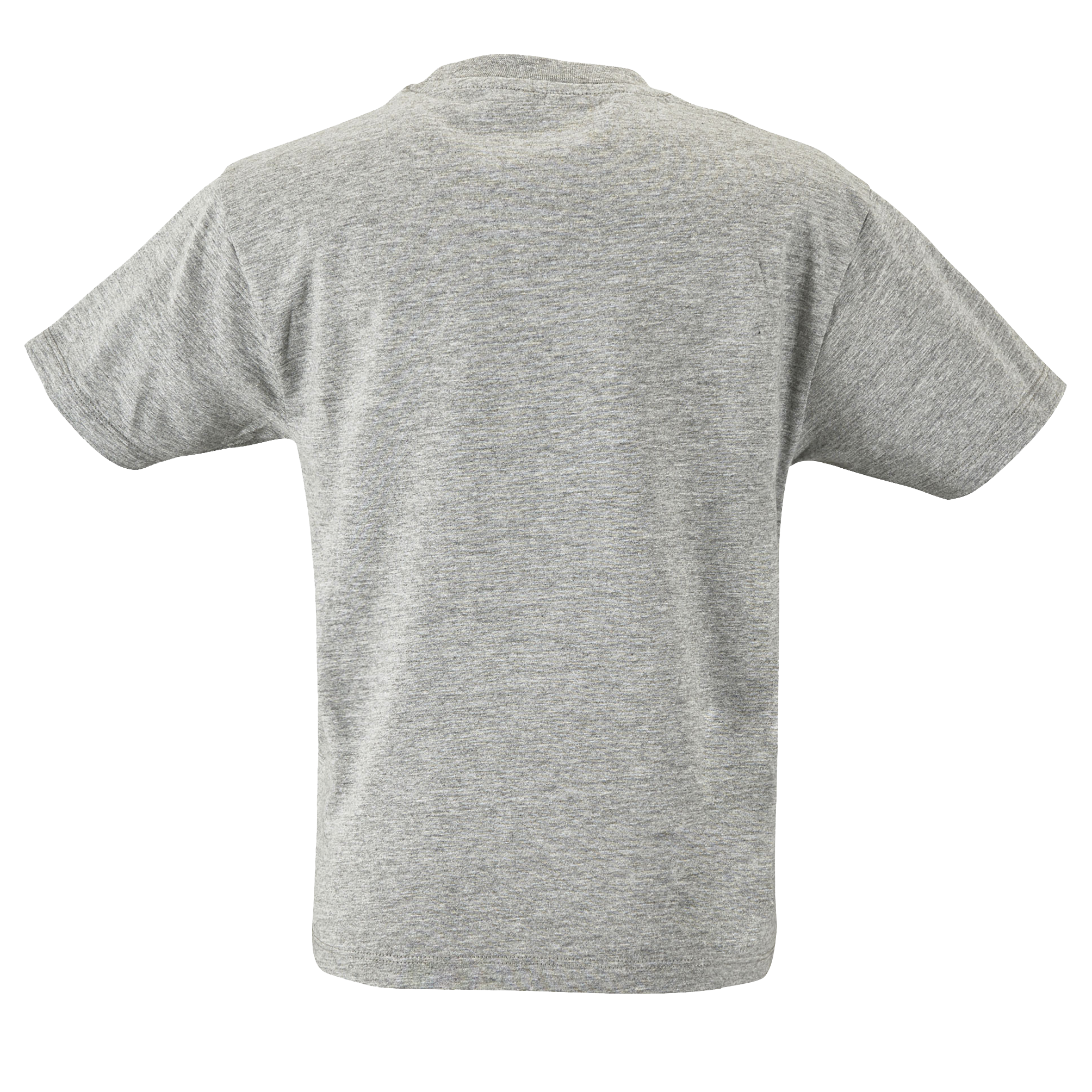 images/stories/virtuemart/sols20/9430_teeshirt_enfant_col_rond_regent_kids_apple_green_dos