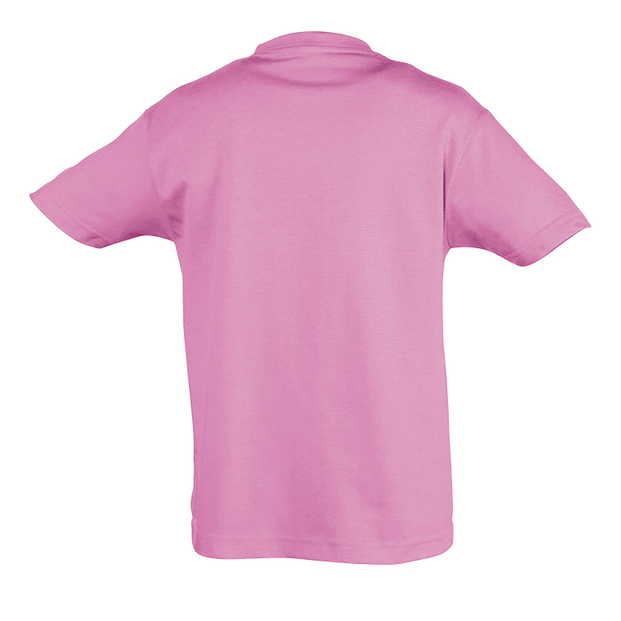 images/stories/virtuemart/sols20/9460_teeshirt_enfant_col_rond_regent_kids_apple_green_dos