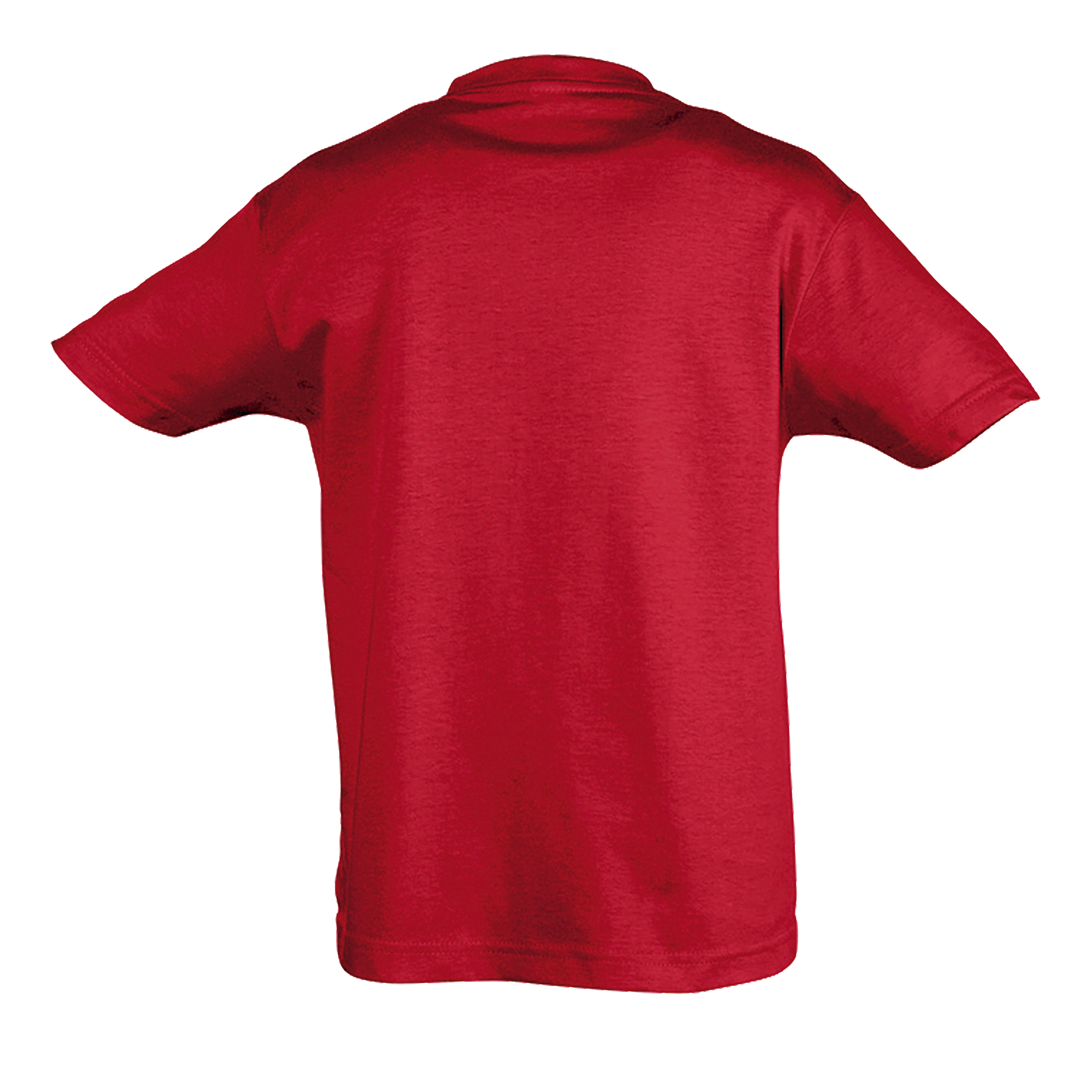 images/stories/virtuemart/sols20/9472_teeshirt_enfant_col_rond_regent_kids_apple_green_dos