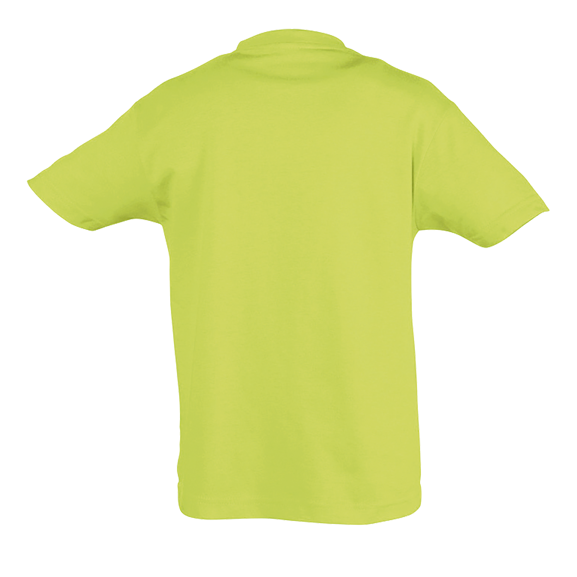images/stories/virtuemart/sols20/9490_teeshirt_enfant_col_rond_regent_kids_apple_green_dos