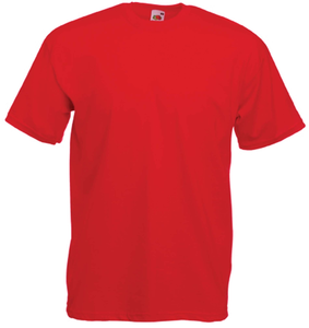 T-SHIRT HOMME VALUEWEIGHT (61-036-0)