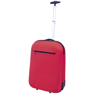 Trolley Nao