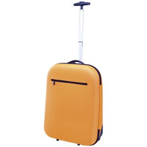 Trolley Nao