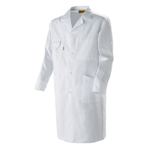 BLOUSE DOS RAGLAN (PHER)