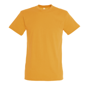 TEE-SHIRT UNISEXE COL ROND REGENT