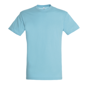 TEE-SHIRT UNISEXE COL ROND REGENT