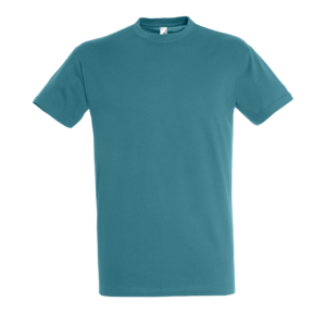 TEE-SHIRT UNISEXE COL ROND REGENT