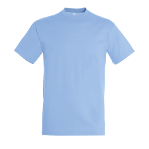 TEE-SHIRT UNISEXE COL ROND REGENT