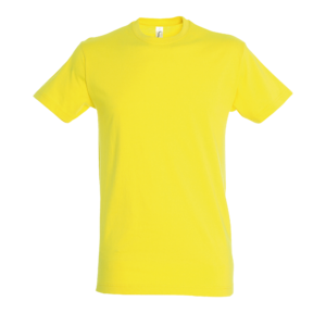 TEE-SHIRT UNISEXE COL ROND REGENT