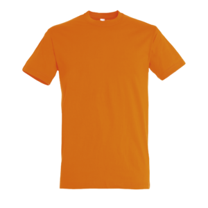 TEE-SHIRT UNISEXE COL ROND REGENT