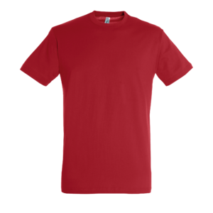 TEE-SHIRT UNISEXE COL ROND REGENT