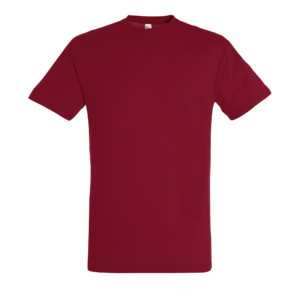 TEE-SHIRT UNISEXE COL ROND REGENT