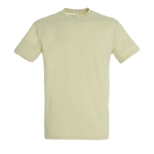 TEE-SHIRT UNISEXE COL ROND REGENT