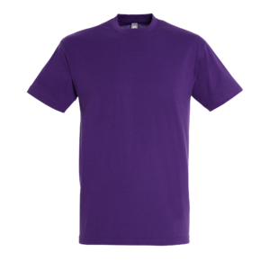 TEE-SHIRT UNISEXE COL ROND REGENT