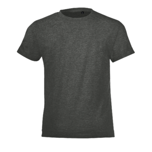 TEE-SHIRT ENFANT COL ROND REGENT FIT KIDS