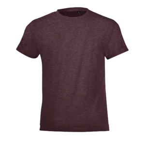 TEE-SHIRT ENFANT COL ROND REGENT FIT KIDS