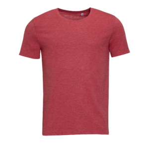 TEE-SHIRT HOMME COL ROND MIXED MEN